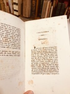 ImmagineIMG_8746