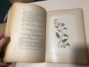 ImmagineIMG_3579