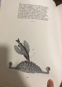 ImmagineIMG_7840