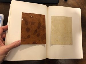 ImmagineIMG_3064