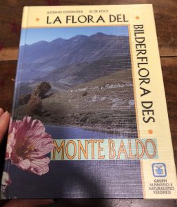 Foto del prodotto