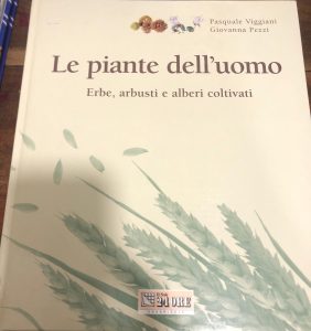 Foto del prodotto