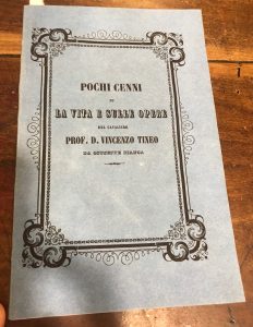 Foto del prodotto