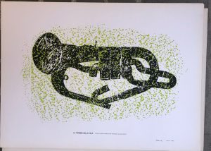 ImmaginePHOTO-2025-04-11-11-31-51