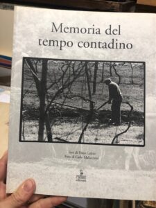 Foto del prodotto