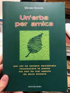 Foto del prodotto
