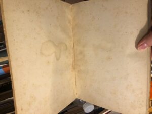 ImmagineIMG_5293