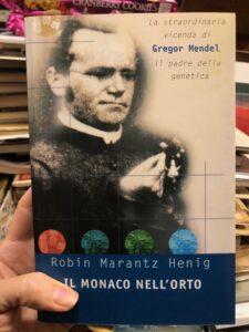 Foto del prodotto